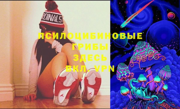 крисы Тихвин
