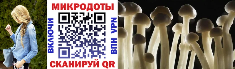 Галлюциногенные грибы GOLDEN TEACHER  Саратов 